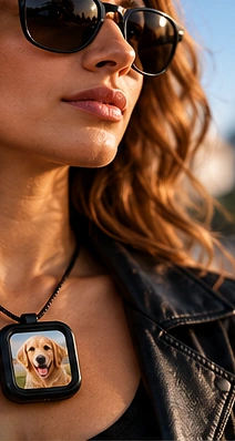 Concept of someone wearing a KRYTO digital necklace with a dog photo
